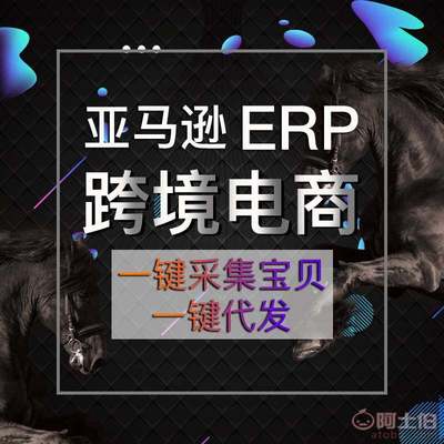 【亚马逊ERP系统无货源点群模式独立部署OEM贴牌定制】南阳市宛城区阿贵计算机工作室 - 产品库